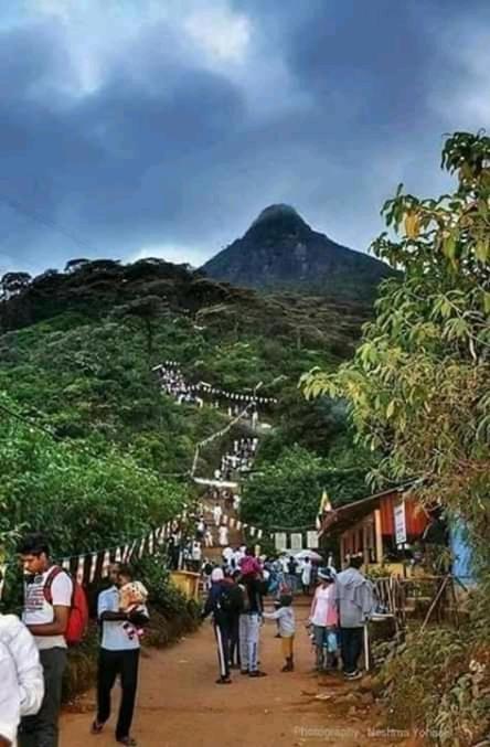 Lily Adam'S Peak Bed & Breakfast Nallathanniya Exterior photo