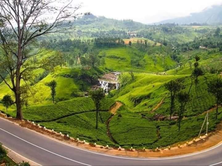 Lily Adam'S Peak Bed & Breakfast Nallathanniya Exterior photo